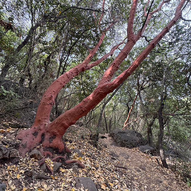 מסע אדם ואדמה נחל קטלב